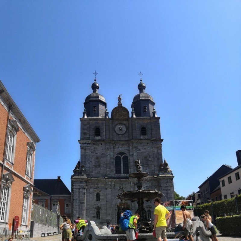 wolven groepskamp 2019